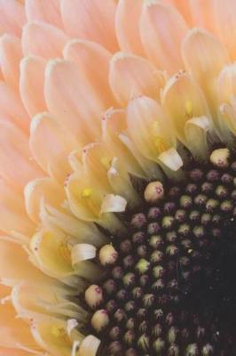 Pale Pink Germini - Blank Notebook - 6x9: 101 Pages, 6 X 9 Journal, Soft Cover