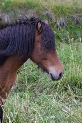 Bay Horse in Iceland Journal: 150 Page Lined Notebook/Diary