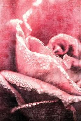 Blushing Rose (Project/Holiday Planner): 6 X 9, Project/Daily Planner, Medium Ruled, Soft Cover