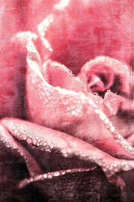 Blushing Rose (Simple Daily Planner with Habit Tracker): 6 X 9, Medium Ruled, Soft Cover