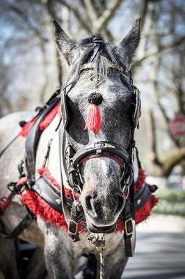 Horse And Cart Notebook