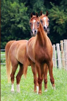 Majus and Majician Journal: Seeing Double