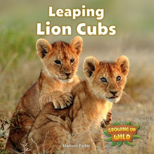 Leaping Lion Cubs