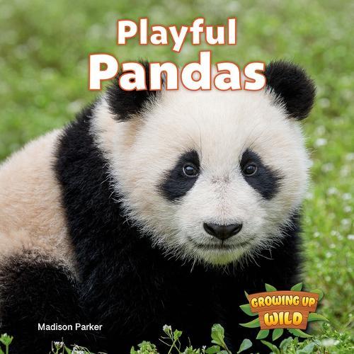 Playful Pandas