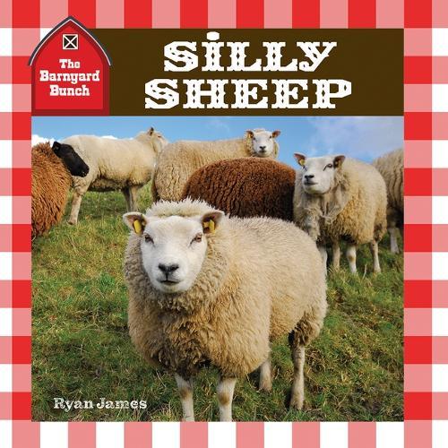 Silly Sheep