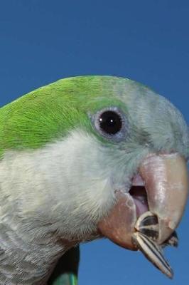Monk Parakeet Notebook