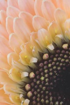 Pale Pink Germini - Blank Notebook with Fleur de Lis Corners: Soft Cover, 6 X 9 Journal, 100 Pages