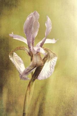 Purple Iris - Blank Notebook with Fleur de Lis Corners: Soft Cover, 6 x 9 Journal, 100 Pages