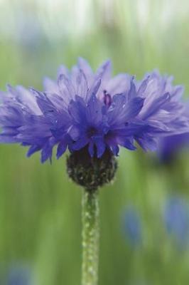 Bluish Purple - Blank Notebook with Fleur de Lis Corners: Soft Cover, 6 x 9 Journal, 100 Pages