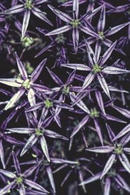 Bright Purples - Blank Notebook with Fleur de Lis Corners: Soft Cover, 6 X 9 Journal, 100 Pages