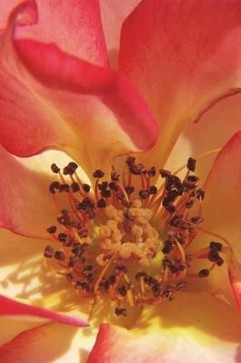 Rose Fan Fair - Blank Notebook with Fleur de Lis Corners: Soft Cover, 6 x 9 Journal, 100 Pages