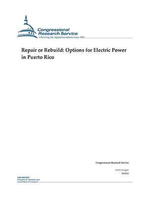 Repair or Rebuild: Options for Electric Power in Puerto Rico
