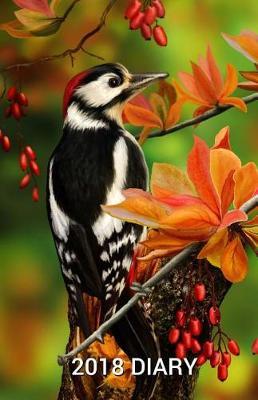 2018 Diary: Woodpecker Bird Diary/Journal With 150 Blank Pages To Write Or Draw In