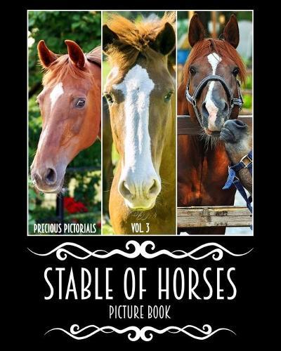 Precious Pictorials Stable Of Horses Picture Book Vol. 03: "Horse Photo Book Horses Picture Book For Adults No Words Book 50 Color Images 8""x10"" Matte Cover Finish"