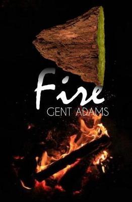 Fire: Book Three