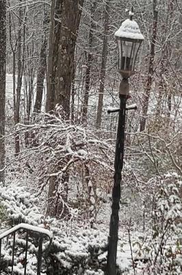 Journal Winter Scene Snow Dusting: (Notebook, Diary, Blank Book)