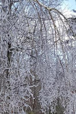 Winter Journal Scenic Forest Ice Storm: (Notebook, Diary, Blank Book)