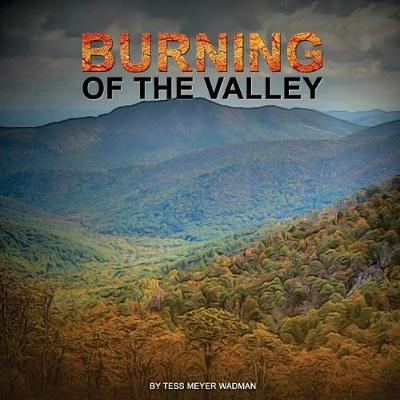 Burning Of The Valley