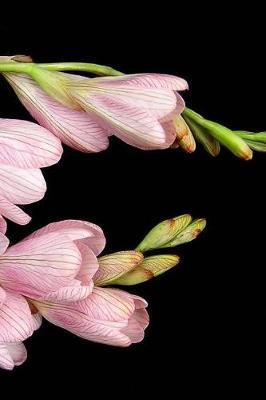 Bulbs Notebook: 150 lined pages, softcover, 6 x 9