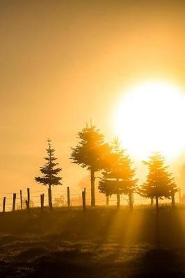 Morning Light Notebook: 150 lined pages, softcover, 6 x 9