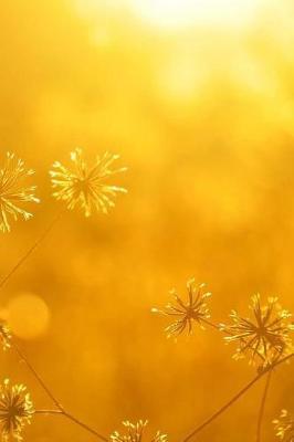 Autumn Sunset Notebook: 150 Lined Pages, Softcover, 6 X 9