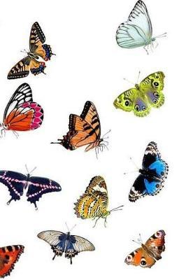 Butterflies Notebook: 150 Lined Pages, Softcover, 6 X 9