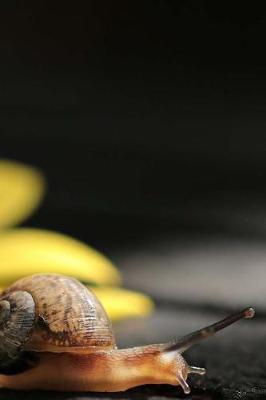 Snail Notebook: 150 lined pages, softcover, 6 x 9