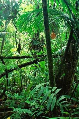 The Jungle of Chiapas Notebook: 150 Lined Pages, Softcover, 6 X 9