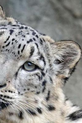 Snow Leopard Notebook: 150 Lined Pages, Softcover, 6 X 9