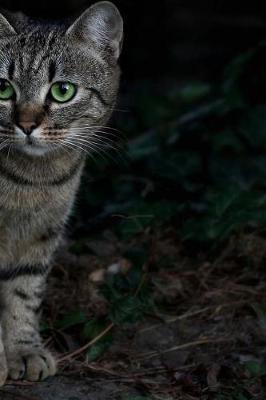 Green Eyed Cat Notebook: 150 Lined Pages, Softcover, 6 X 9