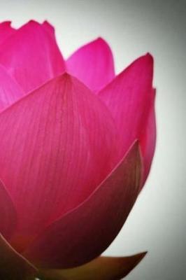 Lotus Notebook: 150 Lined Pages, Softcover, 6 X 9