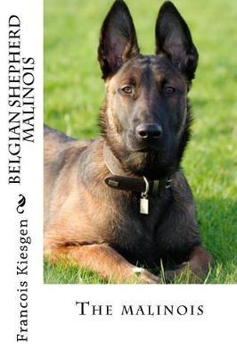belgian shepherd malinois