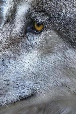 Wolf Notebook: 150 Lined Pages, Softcover, 6 X 9