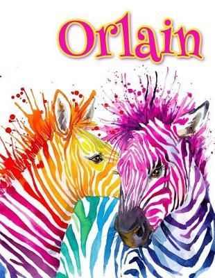 Orlain: Rainbow Zebras, Personalized Journal, Diary, Notebook, 105 Lined Pages, Christmas, Birthday, Friendship Gifts for Girls, Teens and Women, Book Size 8 1/2  X 11
