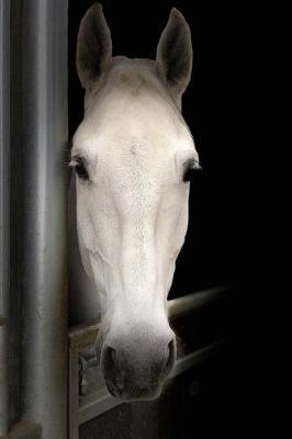 Horse Notebook: 150 Lined Pages, Softcover, 6 X 9