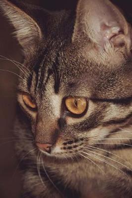 Tabby Cat Portraiture Journal: 150 lined pages, softcover, 6  x 9