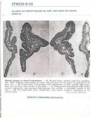 Stress R Us: An Essay On What's Killing Us, Why, and What We Can Do About It