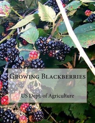 Growing Blackberries