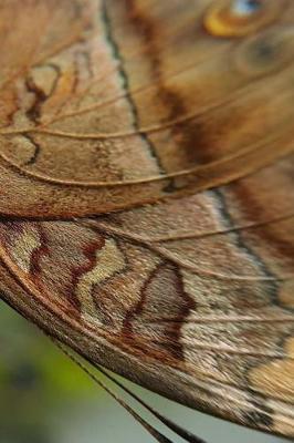 Butterfly Journal: 150 lined pages, softcover, 6  x 9