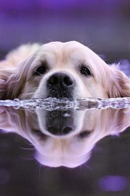 Water Dog Notebook: 150 Lined Pages, Softcover, 6 X 9