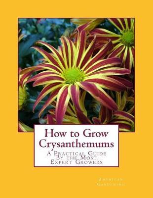 How to Grow Crysanthemums: A Practical Guide By the Most Expert Growers