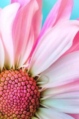 Pink Daisy Notebook: 150 Lined Pages, Softcover, 6 X 9