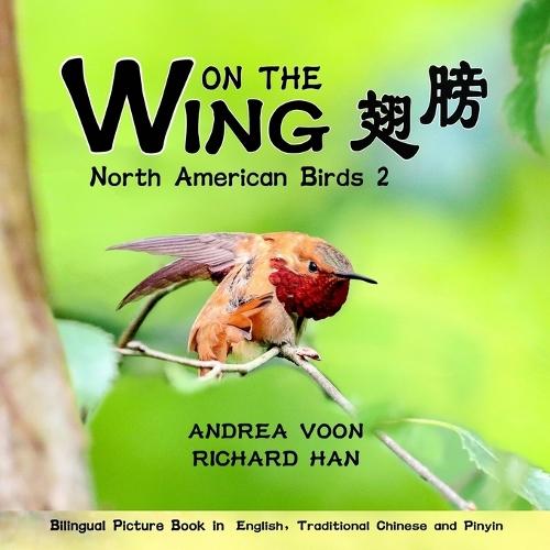 On The Wing &#32709;&#33152; - North American Birds 2