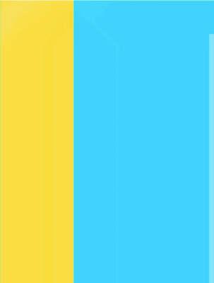 Perspectives En Arthroscopie 1