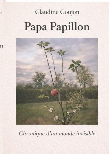Papa Papillon: Chronique d un monde invisible