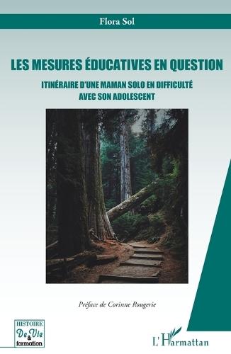 Les mesures éducatives en question: Itinéraire d'une maman solo en difficultés avec son adolescent