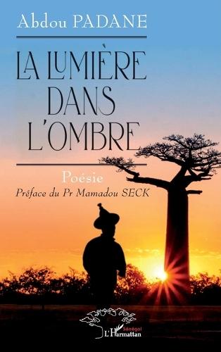 La lumière dans l'ombre