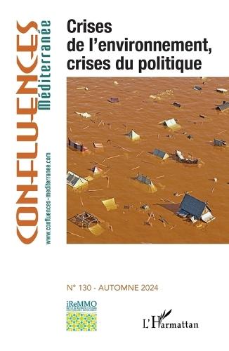 Crises de l'environnement, crises du politique