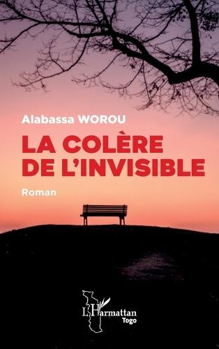 La colère de l'invisible: Roman