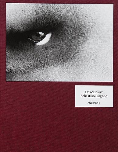 Sabastiao Salgado - Des Oiseaux